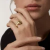 Anillo Panthere De Cartier de oro amarillo y ónix | Cartier EE. UU.