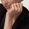 Anillo Panthere De Cartier – Oro rosa, granates tsavorita, ónix, laca negra, diamantes – Cartier