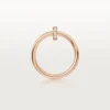 B4210800-Anillo-Juste-Un-Clou