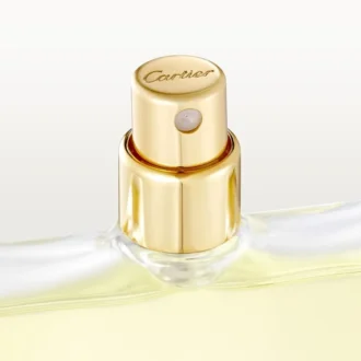 Pack de recambio de Eau de Toilette – Declaration | Cartier