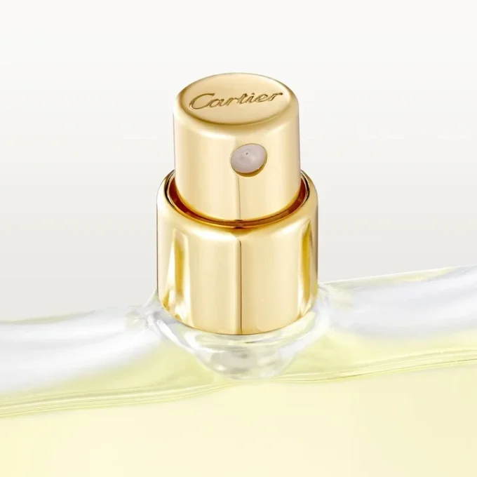 Pack de recambio de Eau de Toilette – Declaration | Cartier