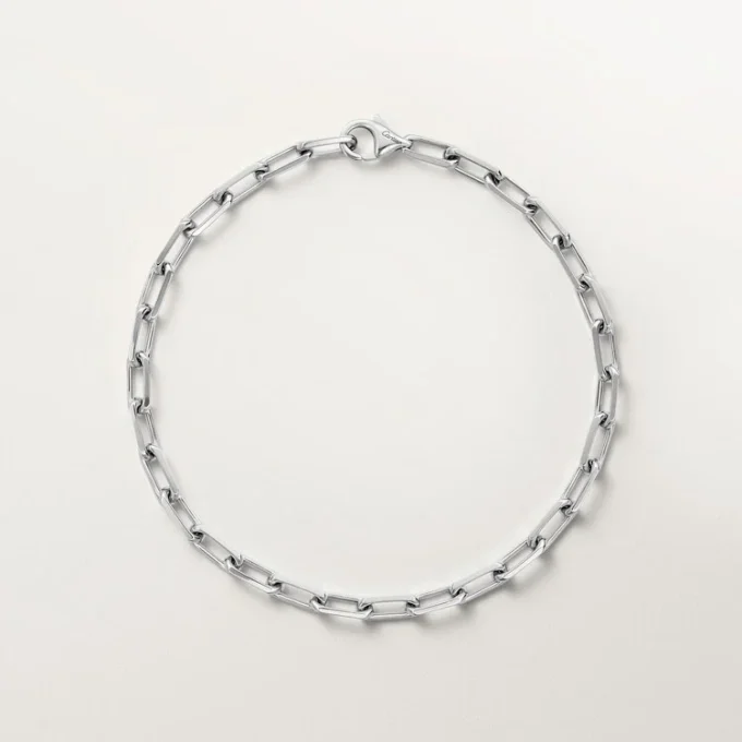 Pulsera Santos de Cartier, cadena, modelo pequeño