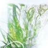 Recambio de perfume Geranium – Rivieres De Cartier | Cartier